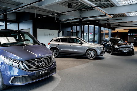 Autohaus Riess GmbH & Co. KG, Mercedes-Benz | smart | DAF