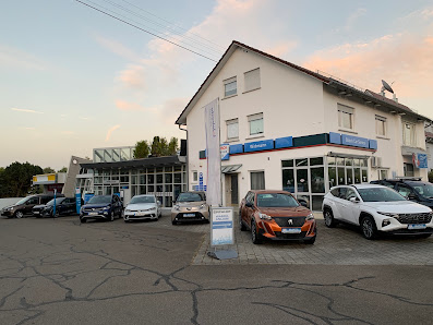 Bosch Car Service - Autohaus Fr. Widmann GmbH