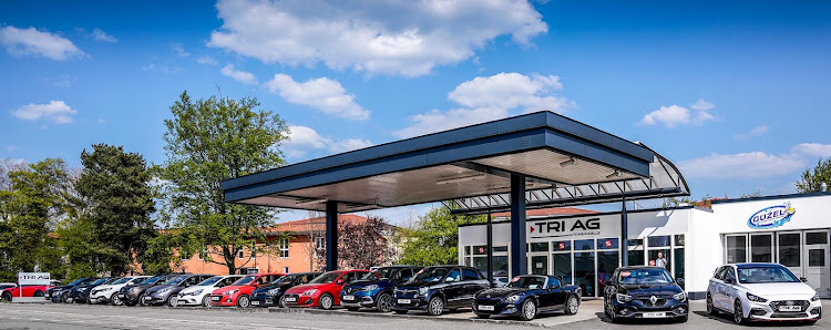 TRI AG Automobile - Emmendingen