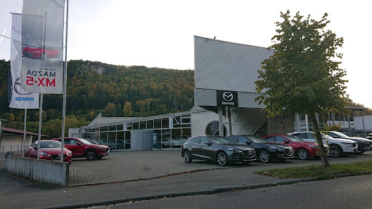 auto-domicil Ebingen GmbH