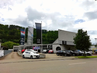 auto-domicil Ebingen GmbH