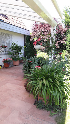 Hanspeter Bössenecker