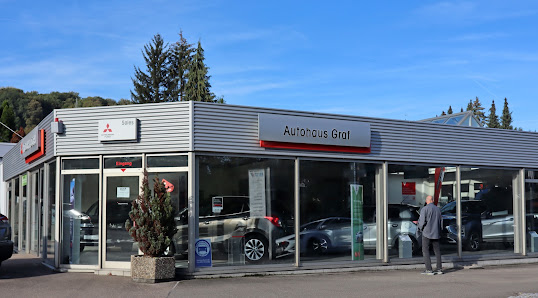 Autohaus Graf GmbH + Co. KG