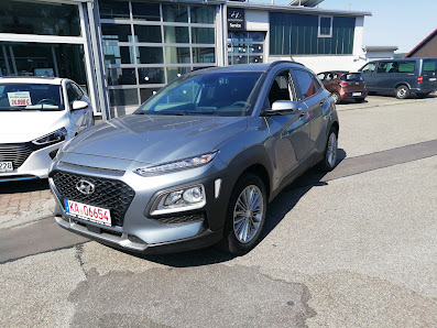 auto hirsch Hyundai spezialisierte Werkstatt
