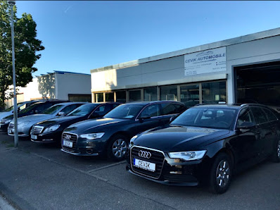 Cevik Automobile