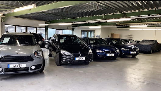 Cevik Automobile