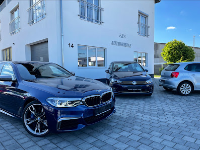 E&S Automobile