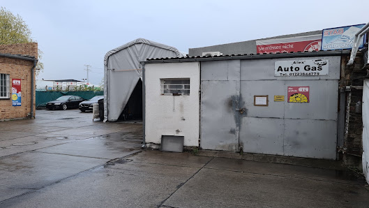Alex Autogas Expert