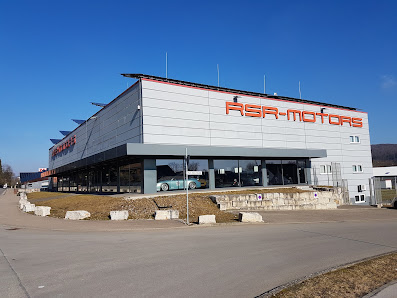 RSR MOTORS Porsche Service