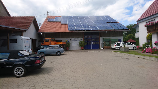 Auto König