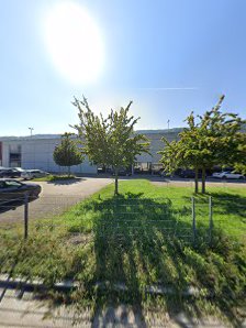 elring