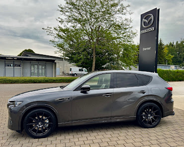 Autohaus Dorner GmbH & Co. KG