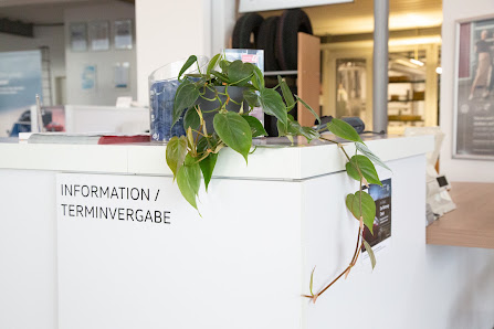 Autohaus Steinhart & Kraus GmbH & Co. KG