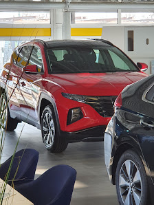 Autohaus Dreher - Wildmoser GmbH & Co. KG - Opel/Hyundai/Leap Motors