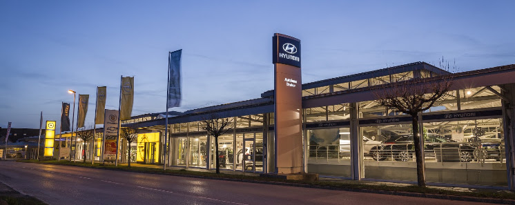 Autohaus Dreher - Wildmoser GmbH & Co. KG - Opel/Hyundai/Leap Motors