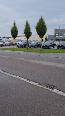 Automarkt Dinser GmbH