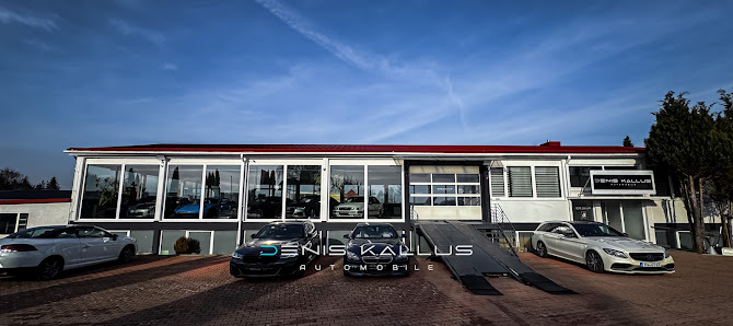 Denis Kallus Automobile