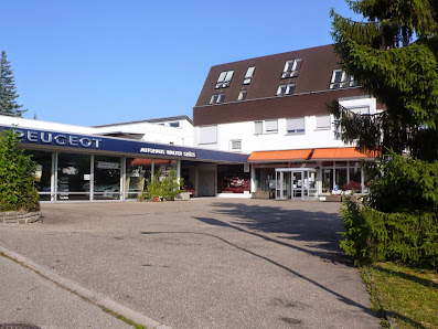 Team Szüts GmbH