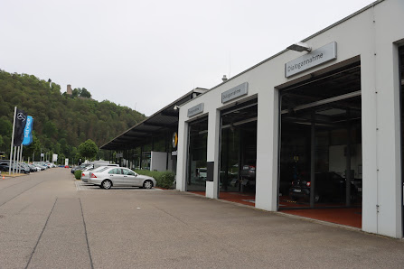 Wackenhut GmbH & Co. KG Nagold Service Pkw