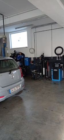 Wiesner's Meisterwerkstatt