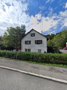 Spoticar Dengler Wildberg
