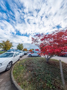 Fahrzeugservice Ulrich GmbH - Autocrew