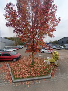 Automobile Schäfer