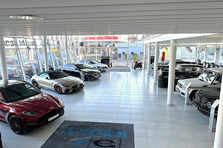Gross GmbH & Co. KG