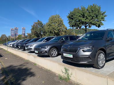 SES Auto GmbH euroAuto