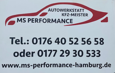 MS PERFORMANCE