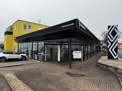 Renault - TRI AG Automobile - Birkenfeld