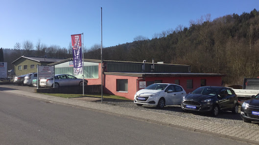 Auto Wölfel UG (haftungsbeschränkt) Meisterwerkstatt