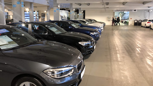 Hofmann Automobile Ostbayern | XPENG Vertragshändler & BMW + MINI Gebrauchtwagen Zentrum