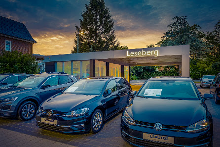 Elbautos - Garantiert Leseberg