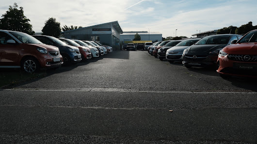 T & T Automobile