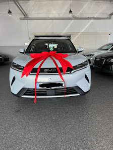 BYD Erlangen | Feser-Graf