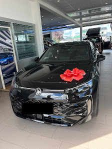 VW Feser-Biemann Erlangen