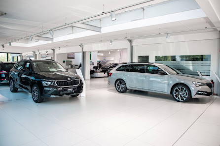 Škoda Erlangen | Feser-Biemann