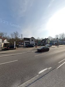 Bieniek GmbH