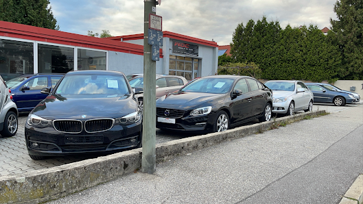 World Of Car