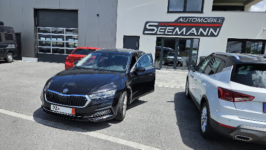 Seemann Automobile