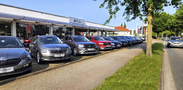 Werner Ahlfeld (GmbH & Co.) KG