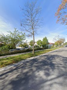 Reifen Raich