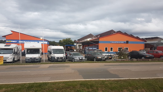 Automobil-Service Hartig GmbH & Co.KG