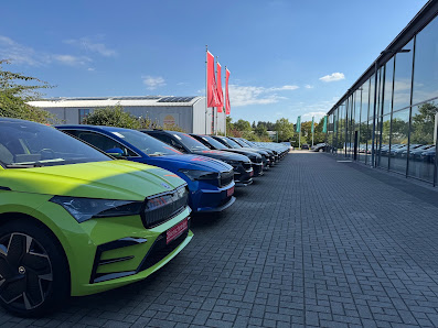Auto Bierschneider Neumarkt / Skoda