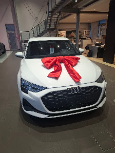 AVP AUTOLAND GmbH & Co. KG | Audi
