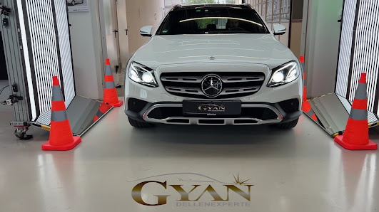 Gyan Dellenexperte - Hagelschadenzentrum