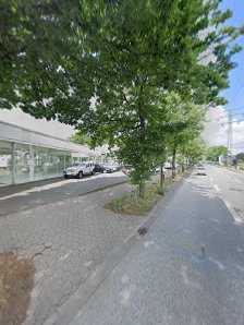 Centro Automobile Hamburg