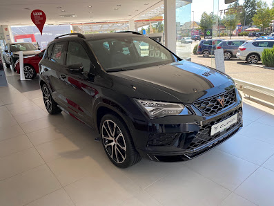 CUPRA & SEAT Roth | Feser-Graf