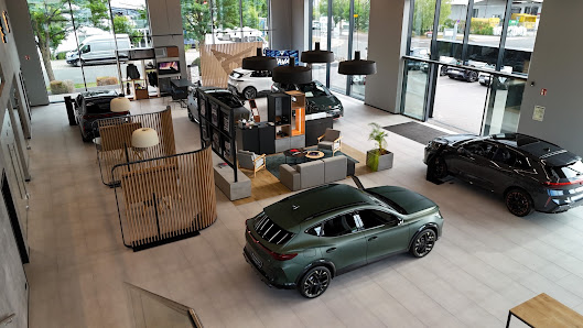 CUPRA & SEAT Roth | Feser-Graf